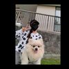 phung_yen.10
