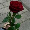 tttt44441111