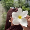 nirmine__nina2
