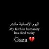 hassantaigr