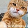 josuep.rueda