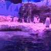 antarctique01.10