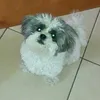 denisedevonenewco