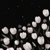 ksyia_