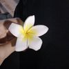 asma_a30