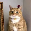 ajsjieies