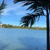 muamuaha.com
