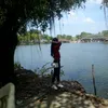 huynh.nhu.y