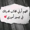 user19331480