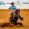 Alex Torres Cowhorses