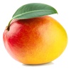 acasualmango