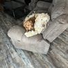 doodlemom80