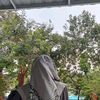 perabotandapur59