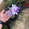 trung_tam33