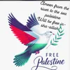 jannatwaseem6