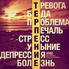 arsen.umarov