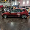 bambusphoenix