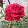 user58618607