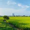 nguyenthanhlam866