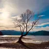 pthuy4891