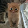 jadey_69420