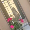 sofia_bianchi14