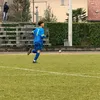 bertawg
