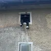 gaspilot
