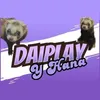 daiiplay