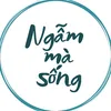 Ngẫm Mà Sống