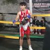 tristan_xbrx
