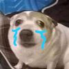 t_t1243