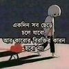 mdnurhossain62