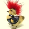 anarkkickass