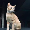 pirasqueen07