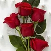 user318218149