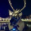 nightfuryscream