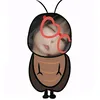 concobebe119