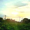 phudao_2264