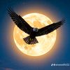 adnanabbas1230
