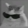 user1830911512977