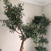 amkgardeningkw