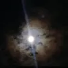 _arenaaaaaaaa_