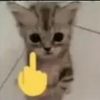 user764890762