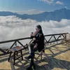 beanhanh281