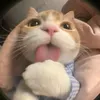 _dykhanh07