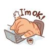 user27818146