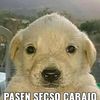 josegod1851