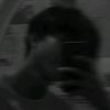 alas_theo