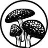 ElderMushroom